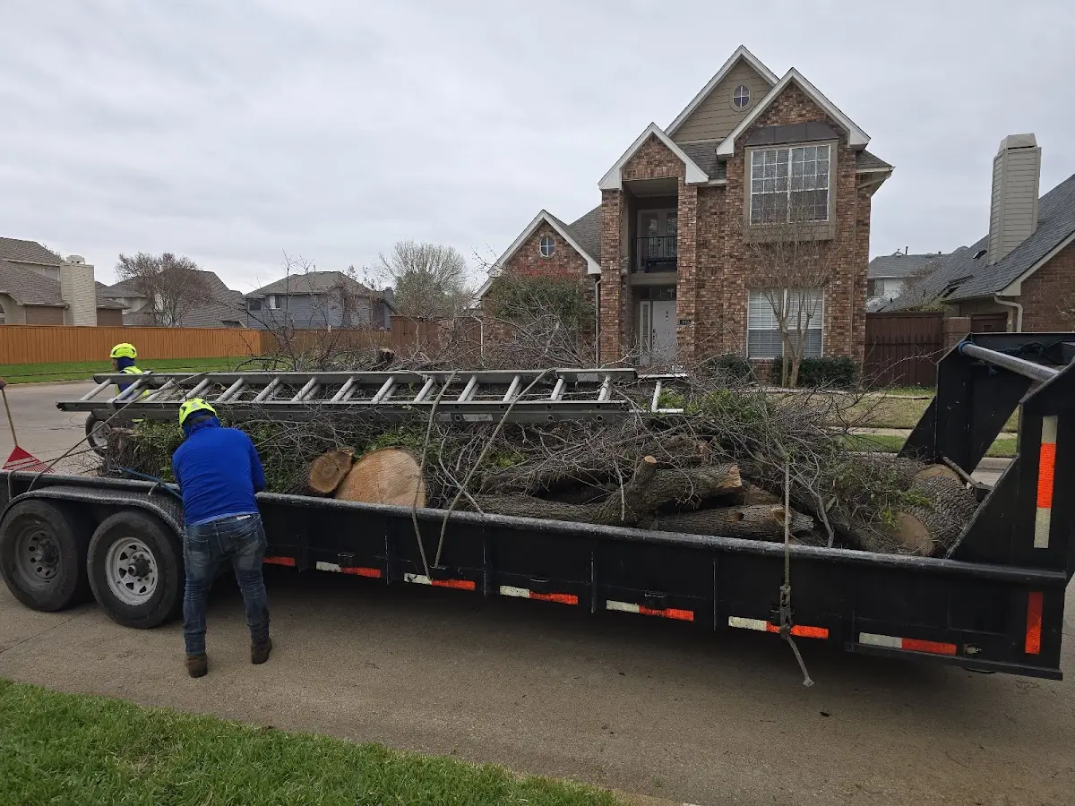 Expert Tree Removal with proper safety equipment in Markham